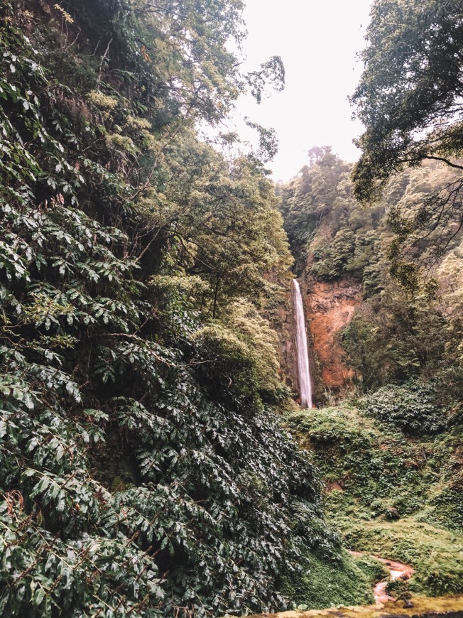 Place Cascata da Ribeira Quente