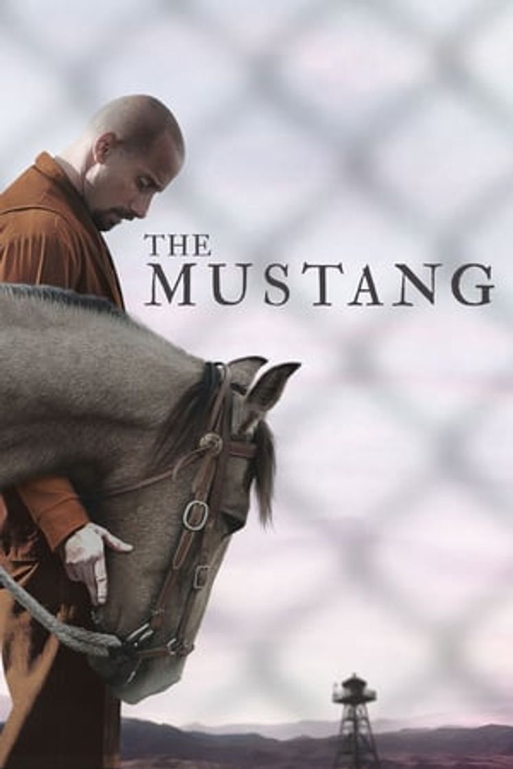 Película The Mustang