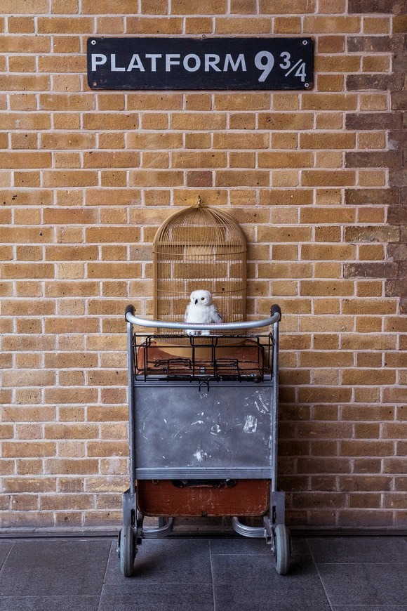 Lugar Platform 9 ¾