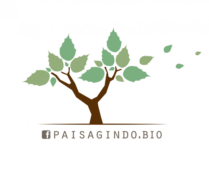 Moda Paisagindo bio