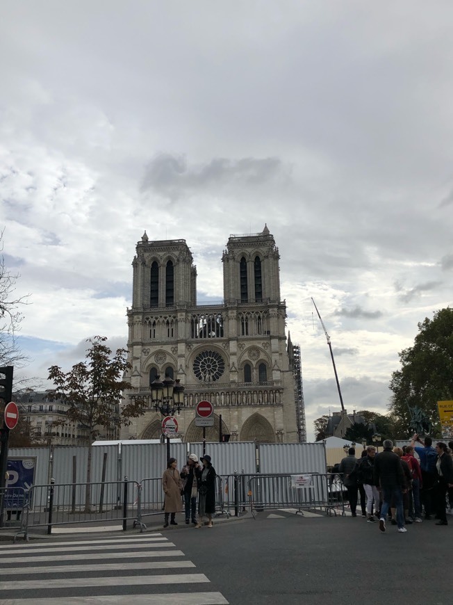 Place Catedral de Notre Dame