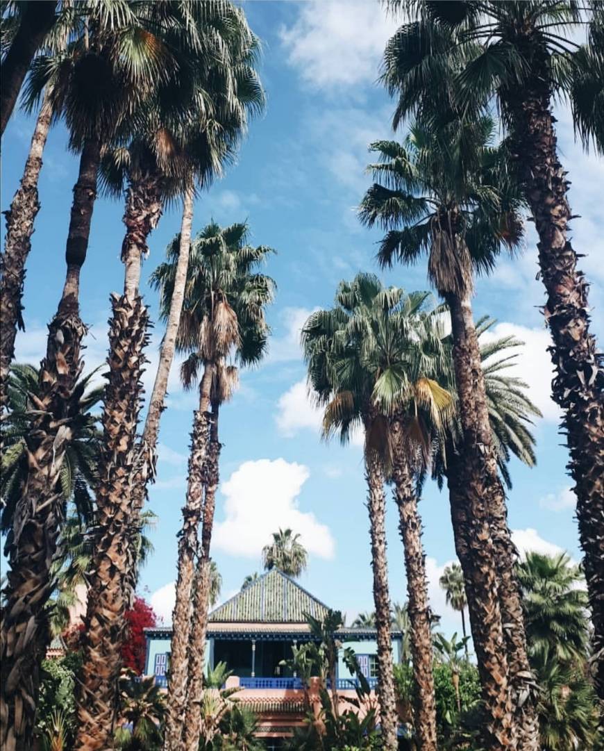 Lugar Jardín Majorelle