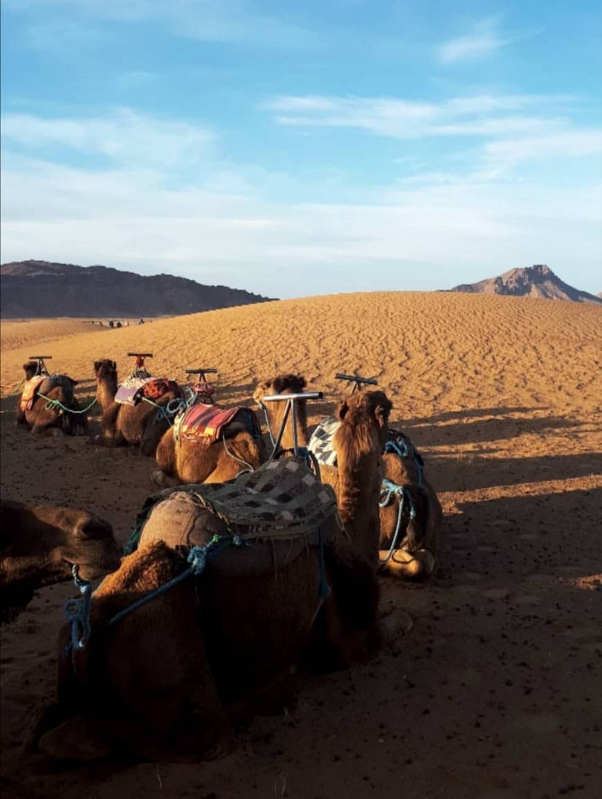 Lugar Zagora Desert Camp