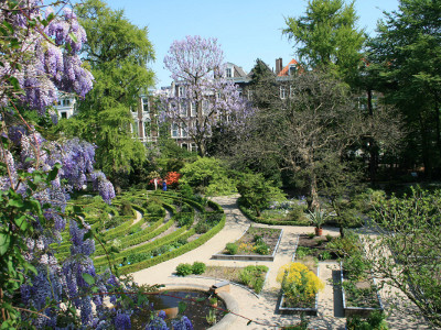 Place Hortus Botanicus Amsterdam