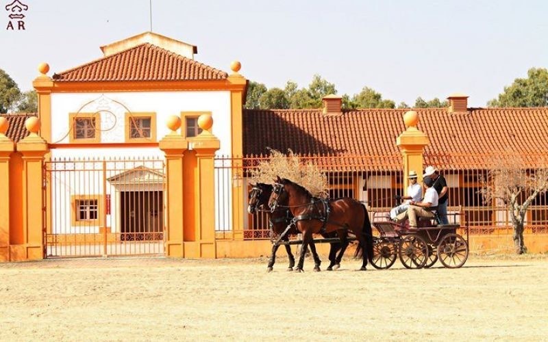 Lugar Coudelaria de Alter