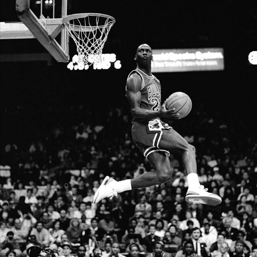 Michael Jordan to the Max
