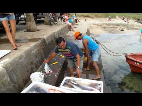 Moda Pescadores dos mosteiros [2012] - YouTube