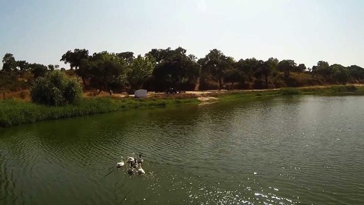 Bar Barragem Dos Patudos