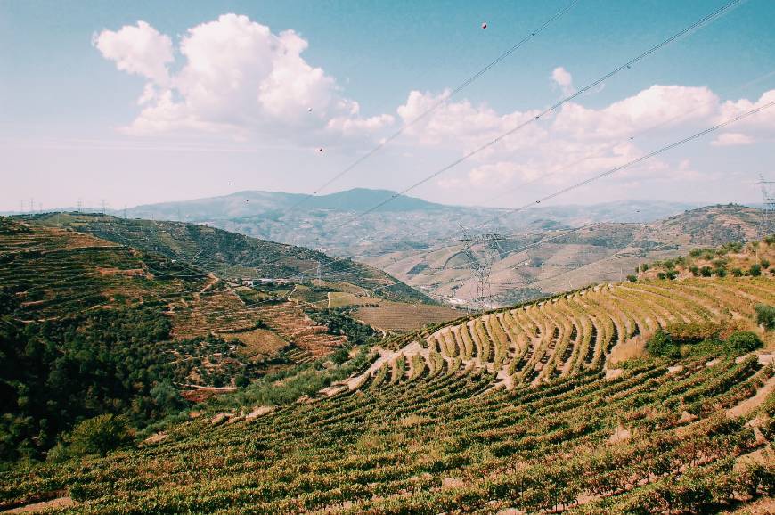 Lugares Vale do Douro