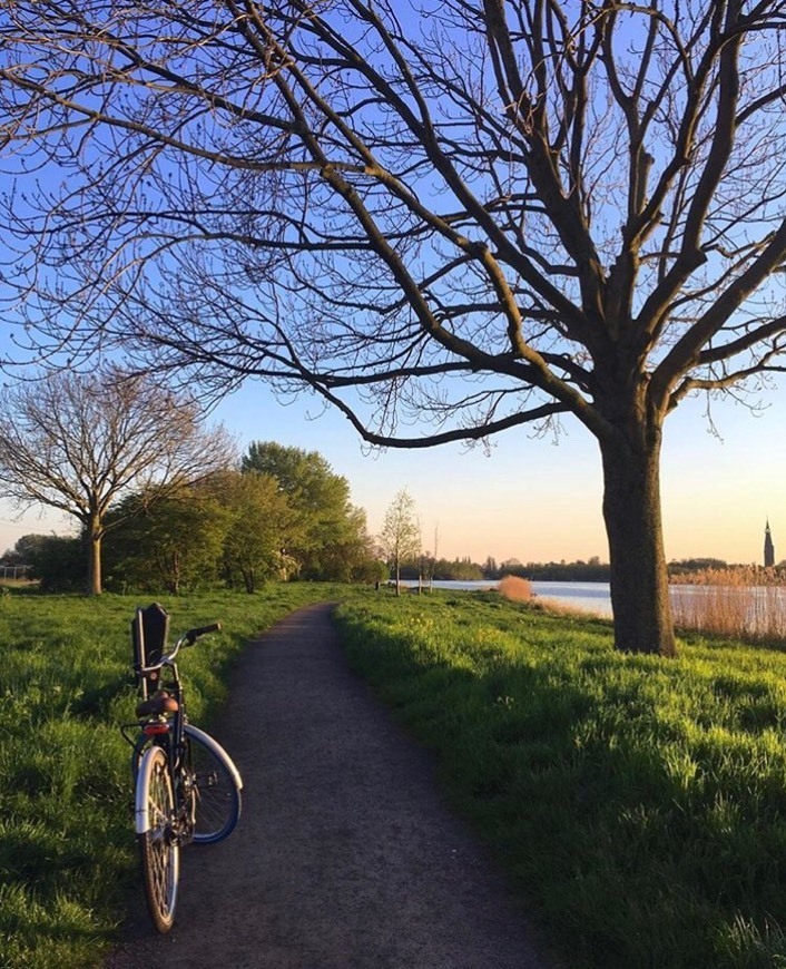 Place Amsterdamse Bos