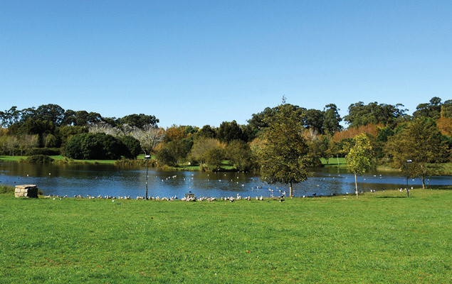 Lugar Parque da Cidade