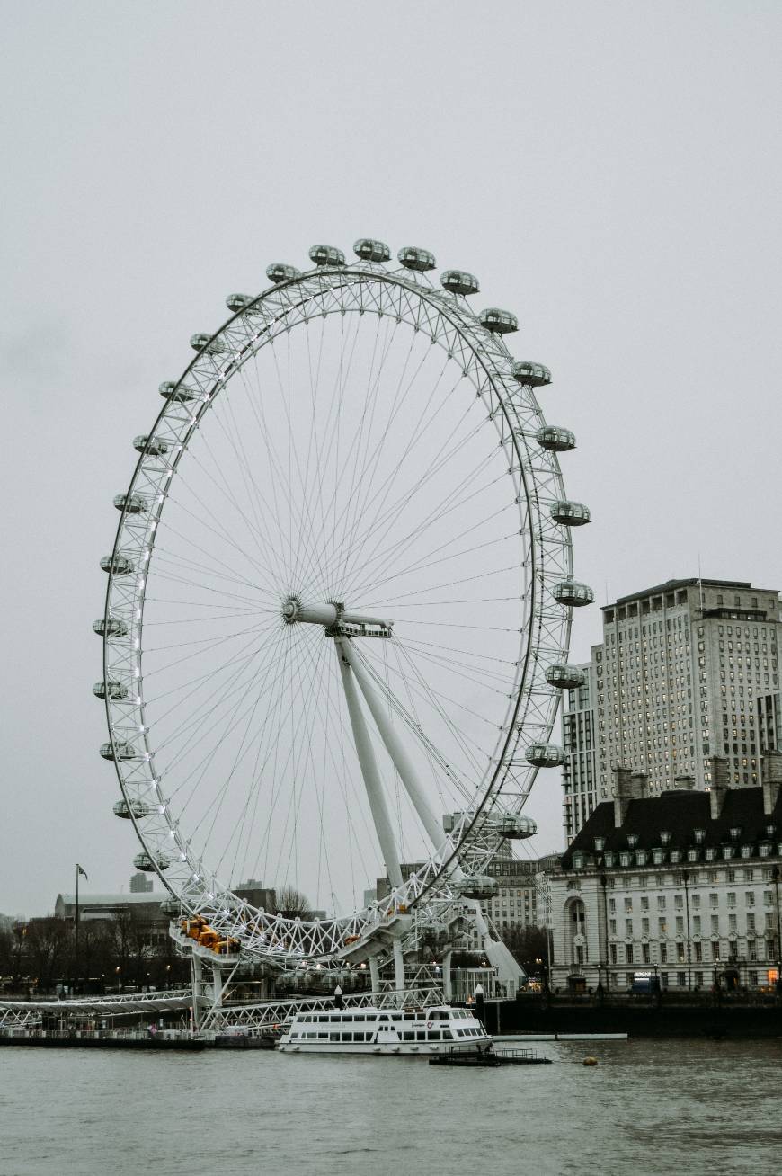 Place London Eye