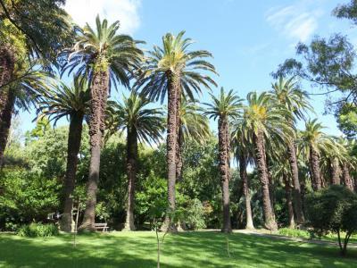 Place Tropical Botanical Garden