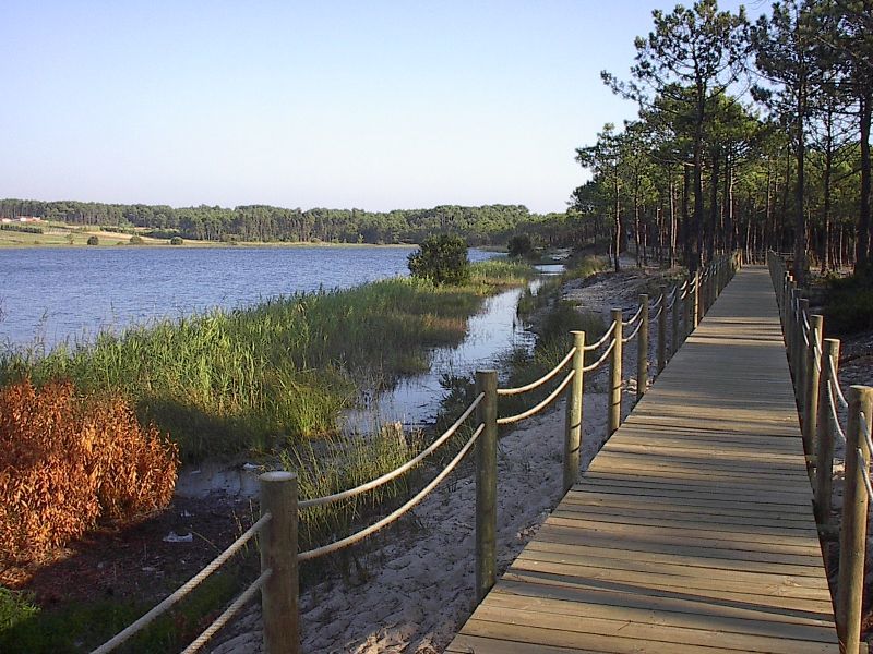 Lugar Lagoa da Ervedeira