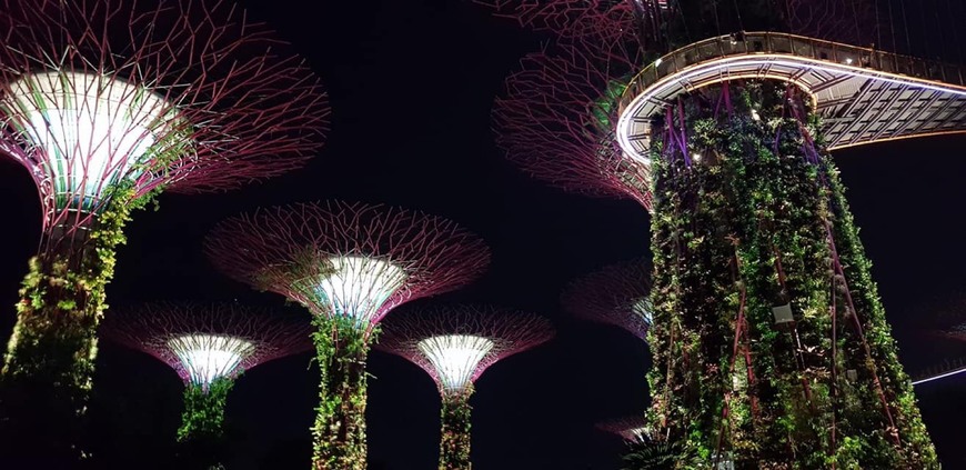 Place Gardens by the Bay