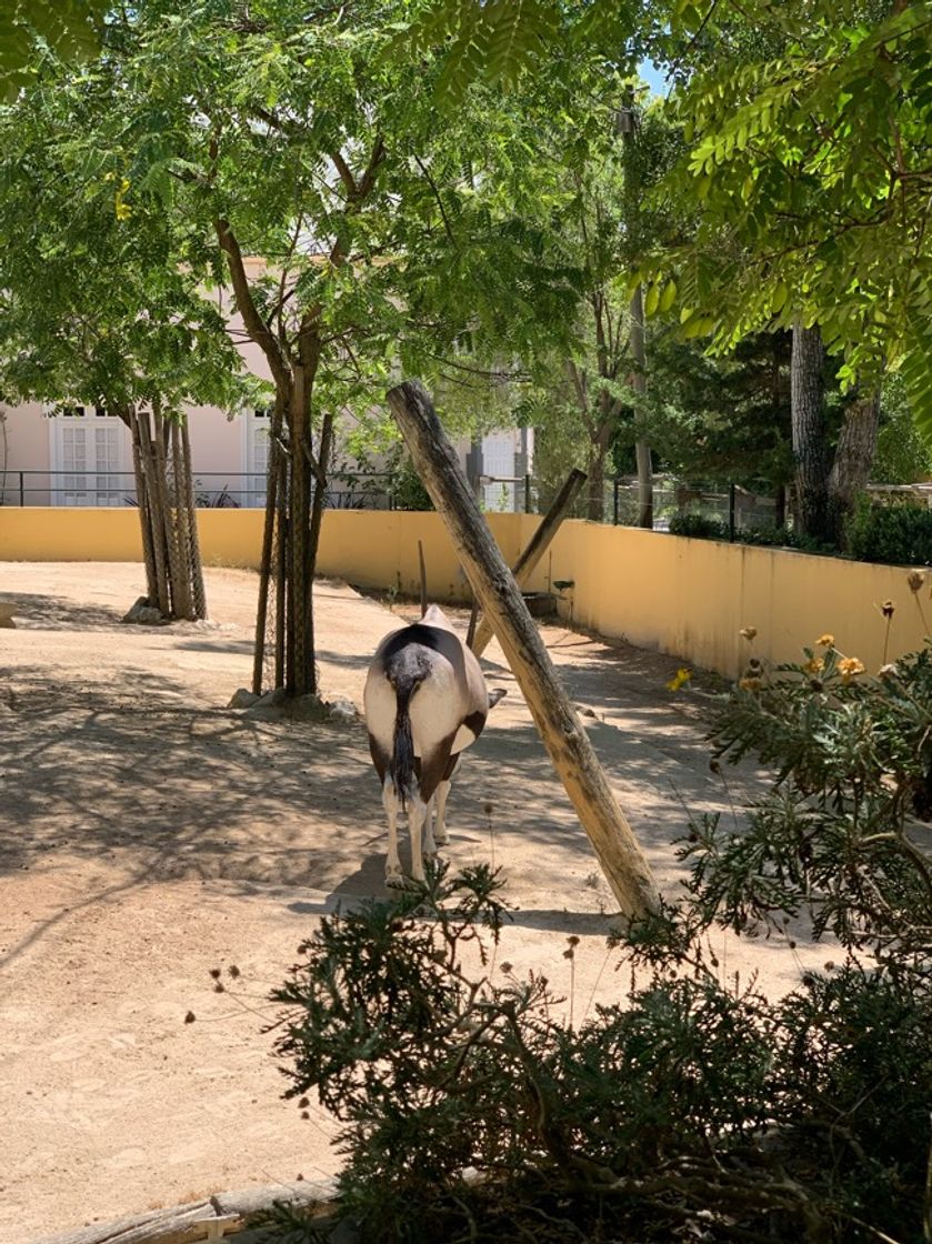 Lugar Jardim Zoológico de Lisboa