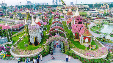 Lugar Miracle Garden