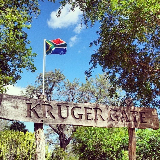 Lugar Parque nacional Kruger