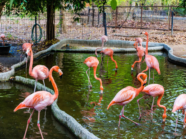 Lugar Shanghai Zoo