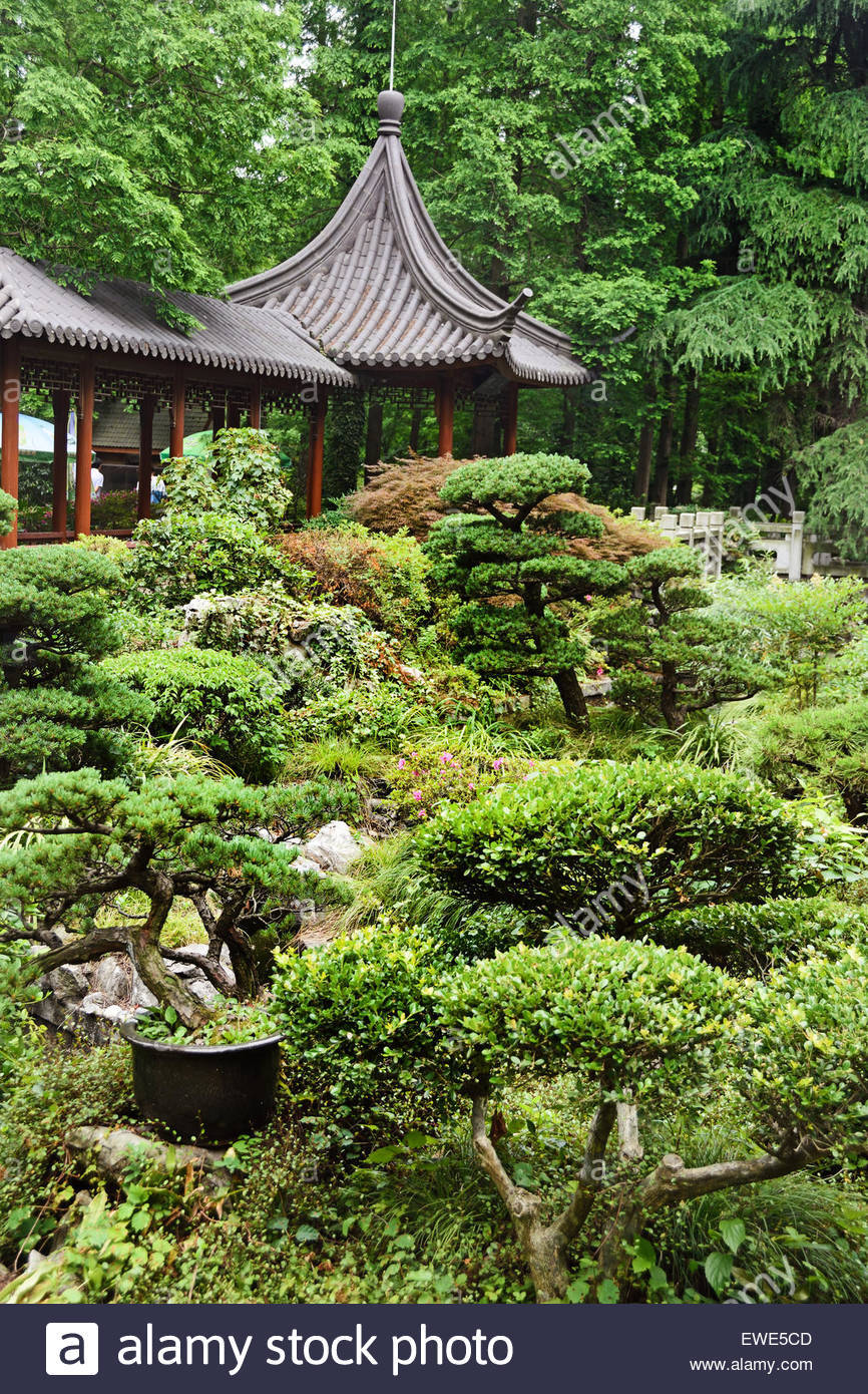 Lugar Shanghai Botanical Garden