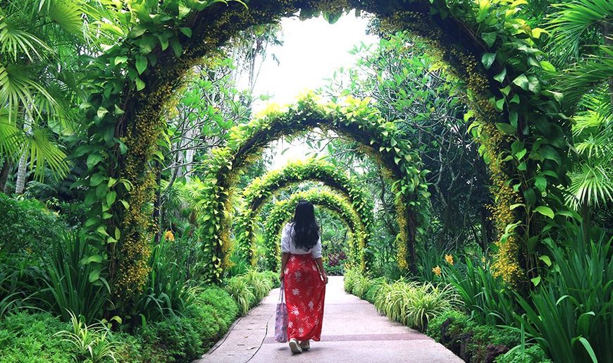 Lugar Jardín Botánico de Singapur