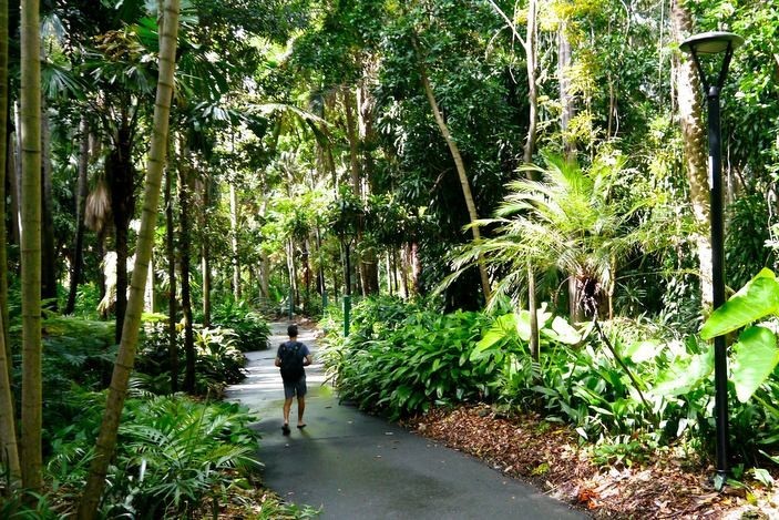 Place Brisbane City Botanic Gardens Playground