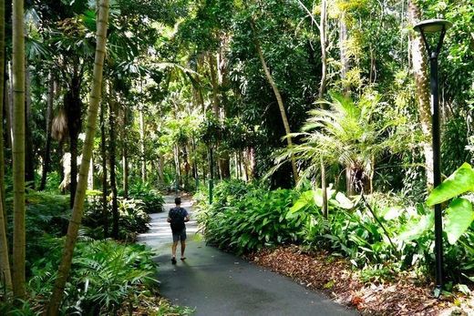 Brisbane City Botanic Gardens Playground