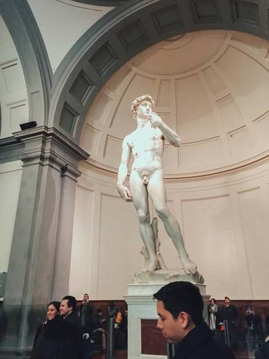 Galleria dell'Accademia di Firenze