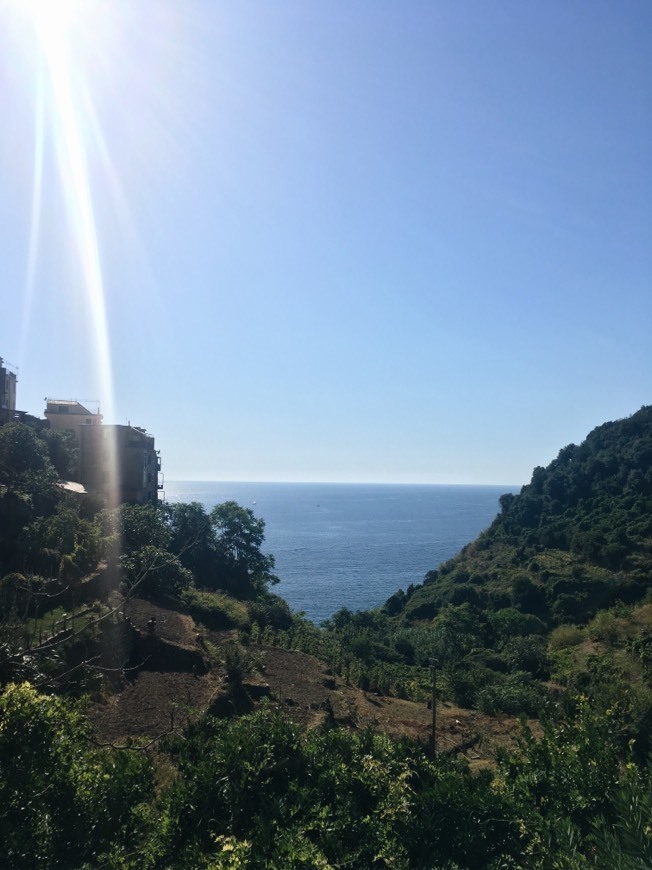 Place Corniglia 