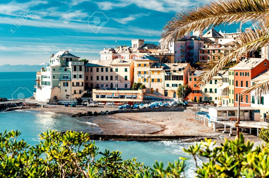 Place Bogliasco