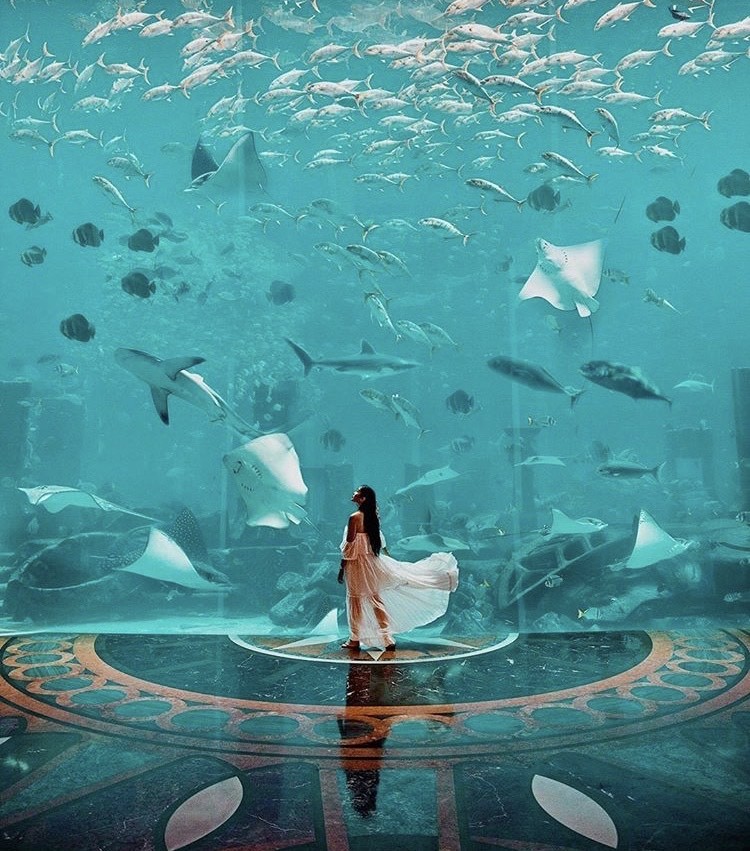 Hotel Atlantis 