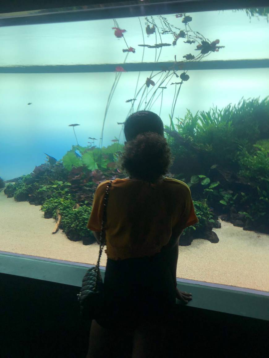 Lugar Oceanario de Lisboa