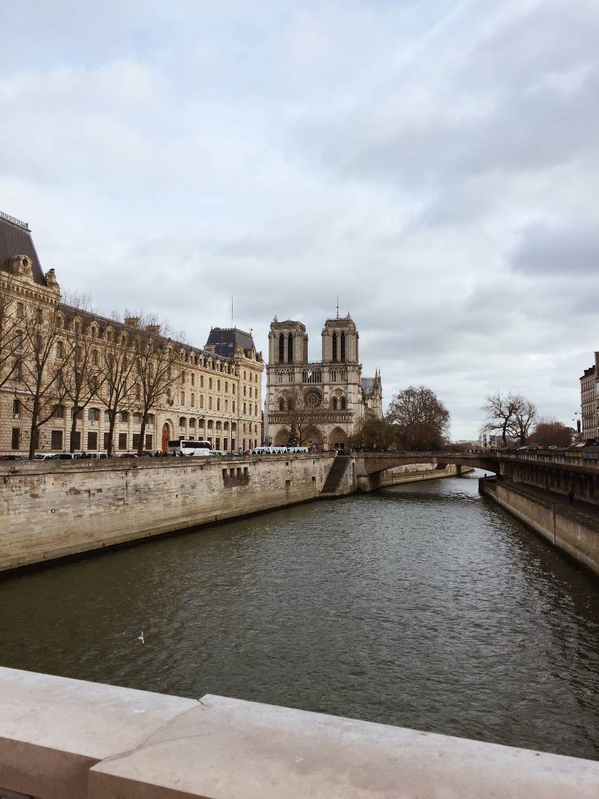 Place Notre Dame