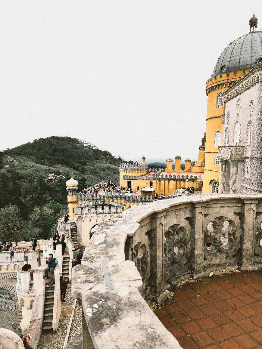 Lugar Palacio da Pena