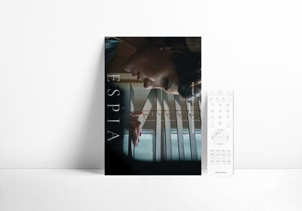 Series The Spy