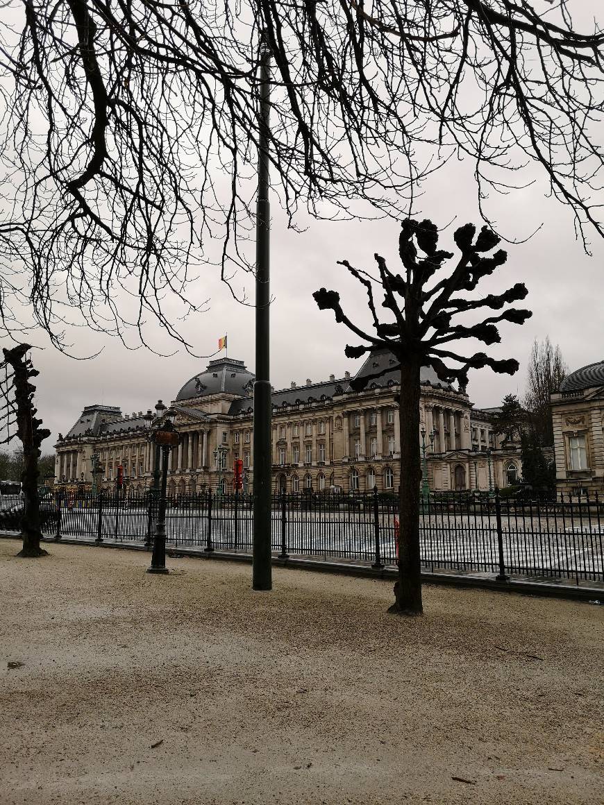 Lugar Palacio Real de Bruselas