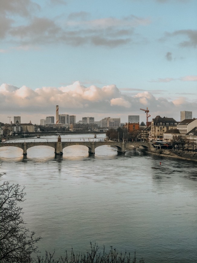 Lugar Rhine River Cruises