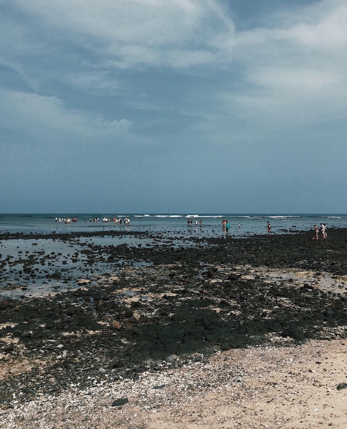 Lugar Shark Bay