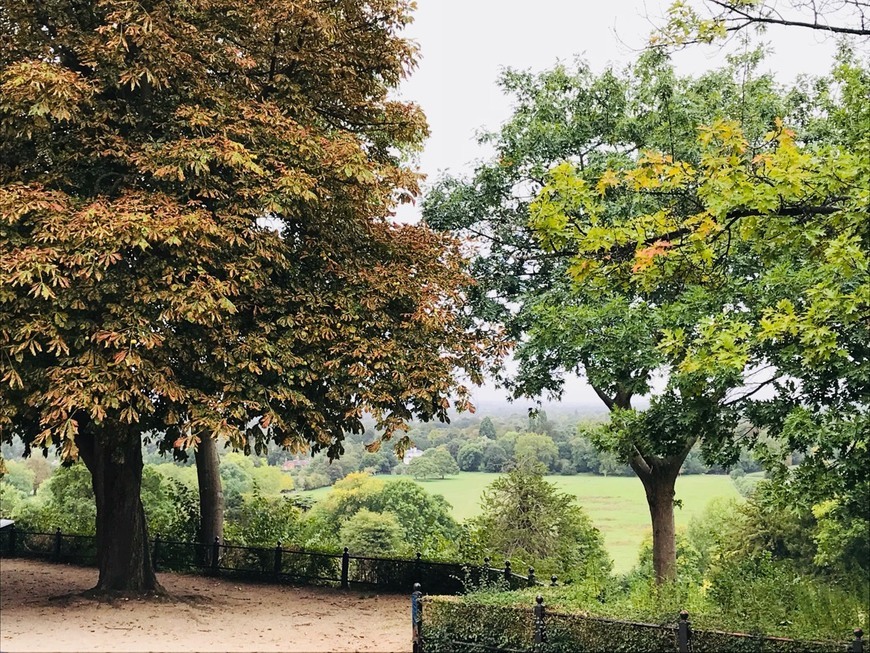 Lugar Richmond Park