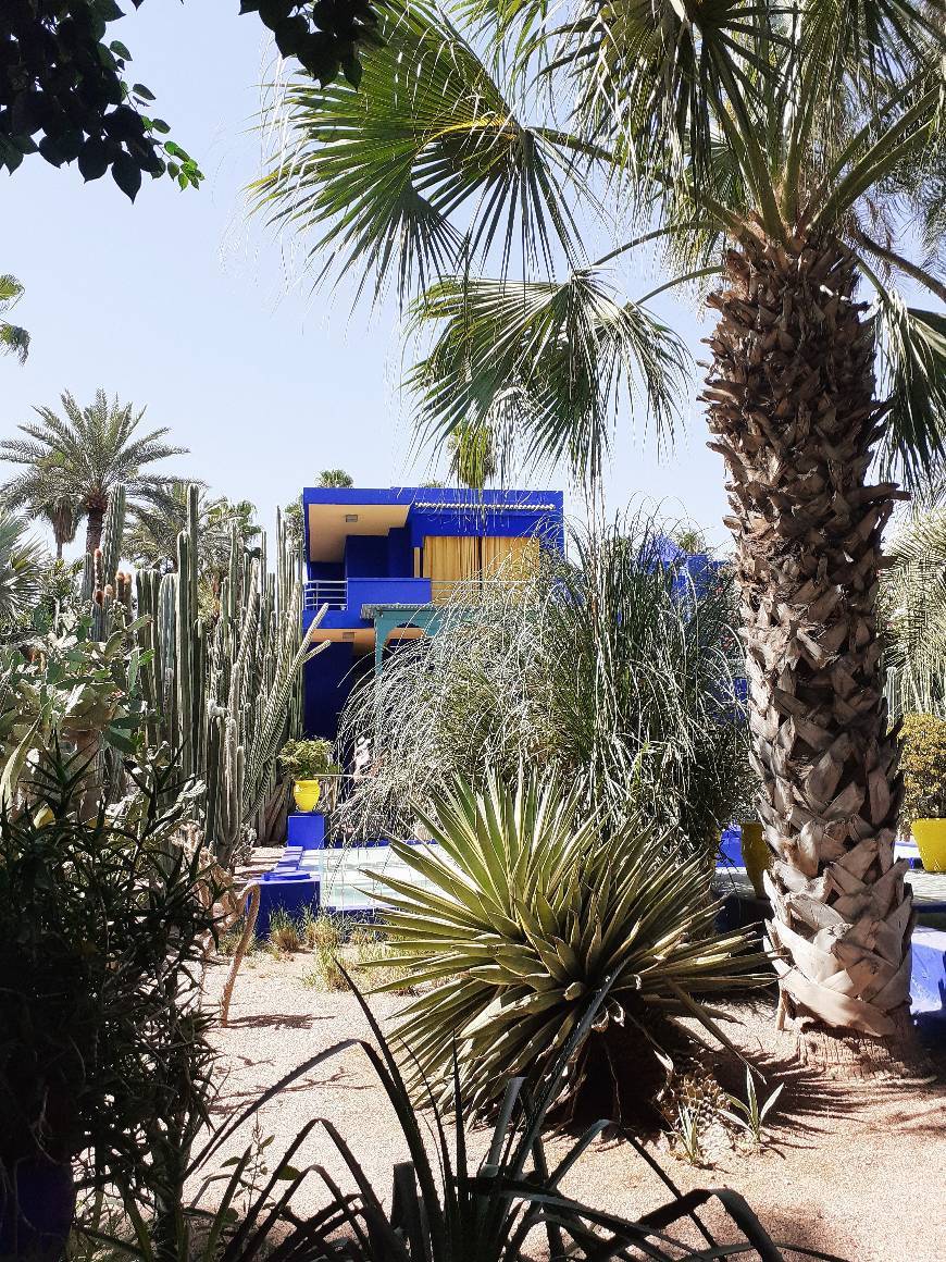 Lugar Jardín Majorelle