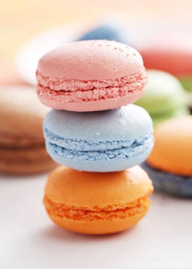 Fashion Macaronis 