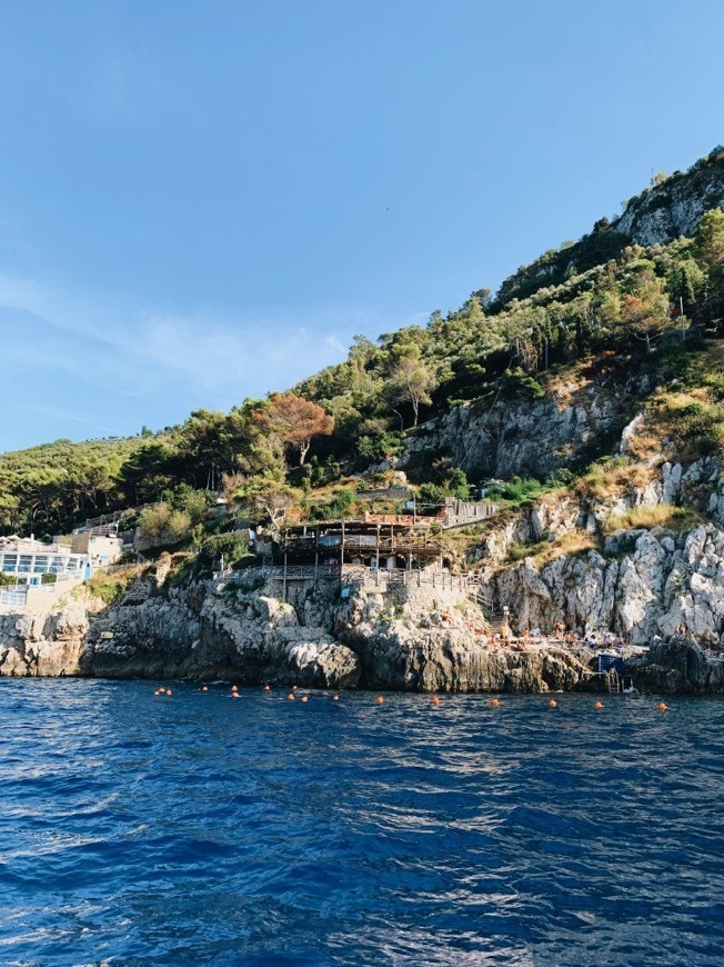 Restaurantes Snack Bar Uncle Ciccio