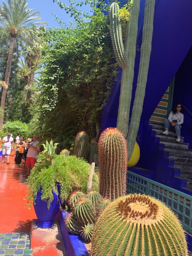 Lugar Jardin Majorelle