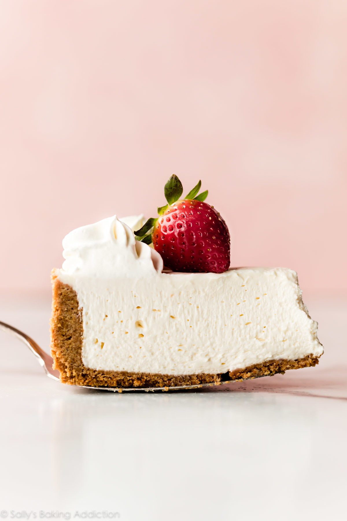 Social Cheesecake