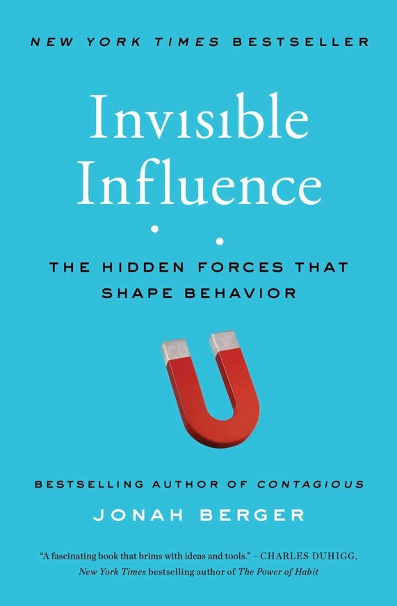 Book Invisible Influence