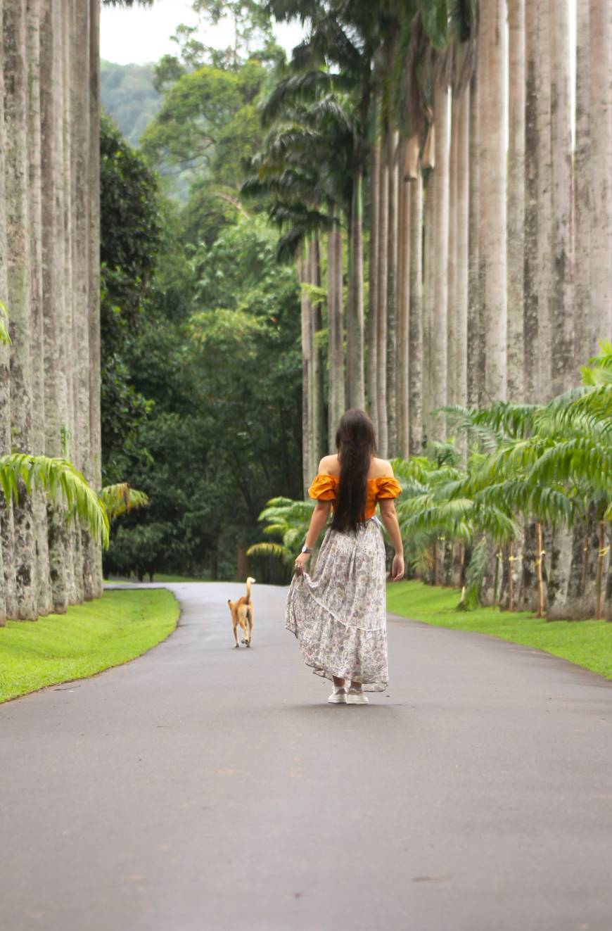 Peradeniya