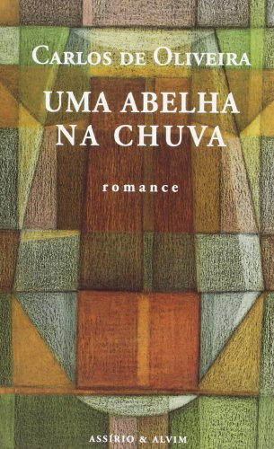 Libros Uma abelha na chuva