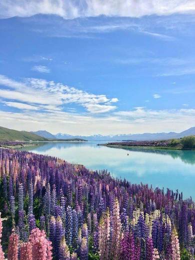 Lake Tekapo