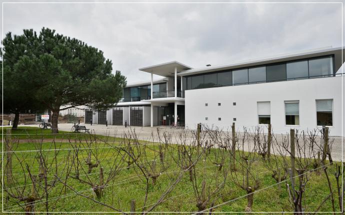 Bordeaux Sciences Agro