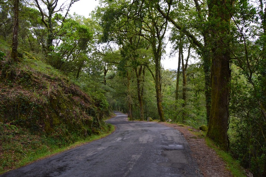 Lugar Campo do Gerês